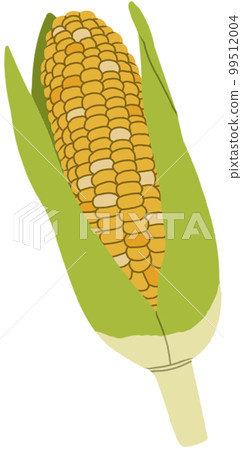 玉米黃 玉米黃 99512004