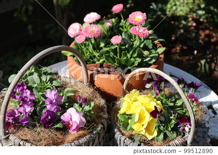 flower arrangement & flower arrangement 99512890