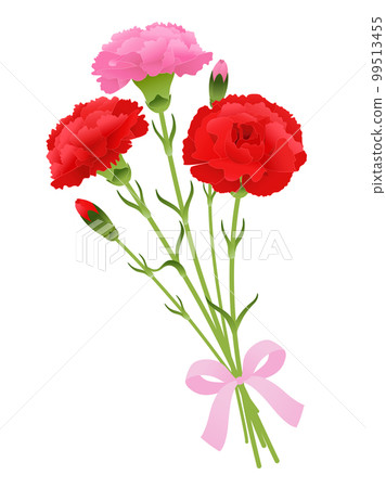 Carnation bouquets 99513455