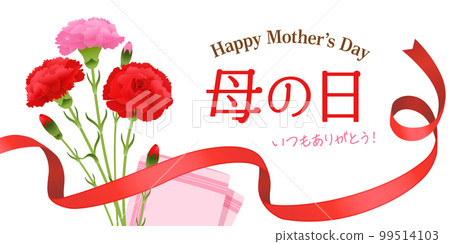 Mother's Day Carnation Bouquet Image Banner (2:1) Mother's Day Carnation Bouquet Image Banner (2:1) 99514103