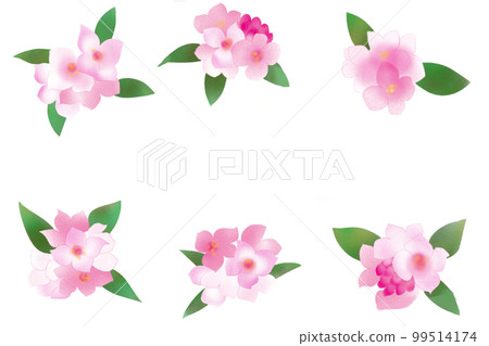 新潮花卡 新潮花卡 99514174