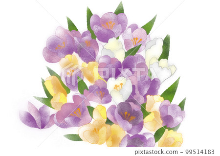 Bouquet of crocuses purple yellow white 99514183