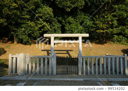 橋博古墳（奈良縣櫻井市） 99514202