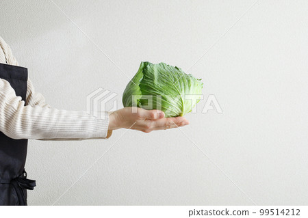 A woman in a black apron holding fresh cabbage White background 99514212