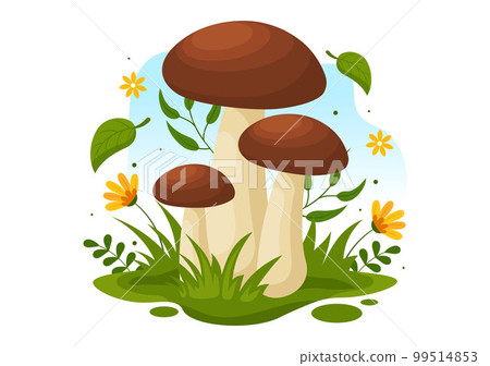 Mushrooms Illustration with Different Mushroom, Grass and Insects for Web Banner or Landing Page in Flat Cartoon Hand Drawn Templates Mushrooms Illustration with Different Mushroom, Grass and Insects for Web Banner or Landing Page in Flat Cartoon Hand Drawn Templates 99514853