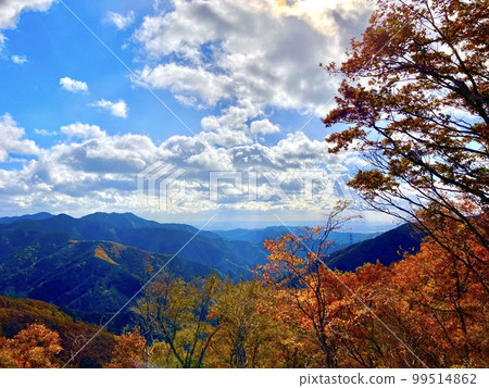 從山頂的秋天風景 99514862