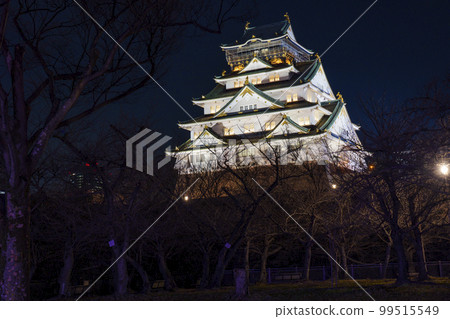 在漆黑的夜空中浮現的大阪城天守閣的夜景 99515549