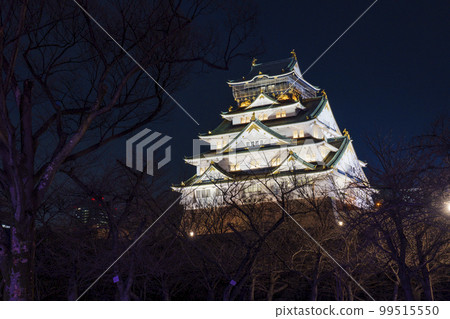 Night view of the Osaka Castle tower that emerges in the jet-black night sky Night view of the Osaka Castle tower that emerges in the jet-black night sky 99515550