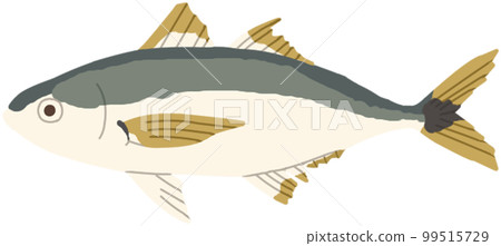 Horse mackerel	 99515729