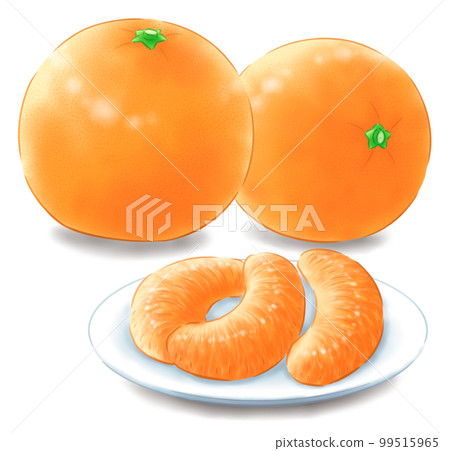 Leafless iyokan and sideways iyokan and peeled iyokan fruit (with shadow) 99515965