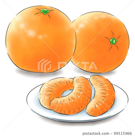 無葉伊予館和側身伊予館和去皮伊予館（帶陰影），1 色線 99515966