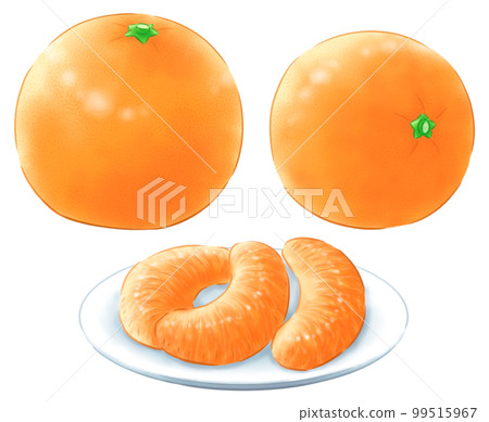 無葉伊予館和側身伊予館和去皮伊予館 99515967