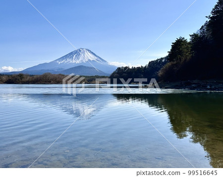 Mount Fuji from Lake Shoin Mount Fuji from Lake Shoin 99516645
