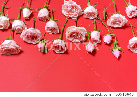 Valentine's Day. Flowers composition pink flowers, on a red background. Women's Valentine's Day. Flowers composition pink flowers, on a red background. Women's 99516646