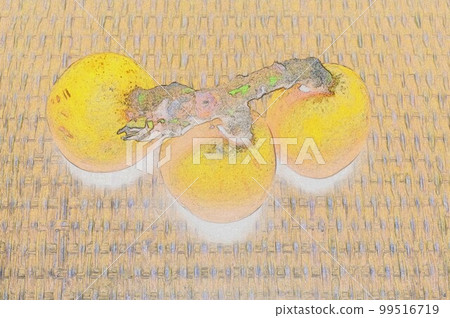 豪華枇杷1的插圖 99516719