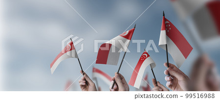 A group of people holding small flags of the Singapore in their hands 99516988