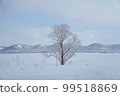 冬日早晨，一棵樹站在雪地上 99518869