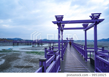 Purple Island Cheonsa Bridge Anjwa-myeon Shinan-gun Jeonnam 99518925