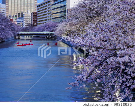 Hanami by Kayak 99518926