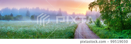 Country gravel road in fog in natural park in summer. Country gravel road in fog in natural park in summer. 99519030