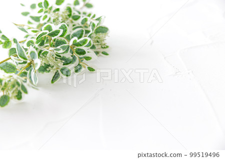 綠框背景素材 綠框背景素材 99519496