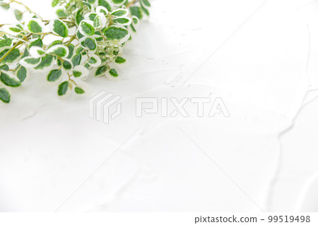 Green frame background material 99519498