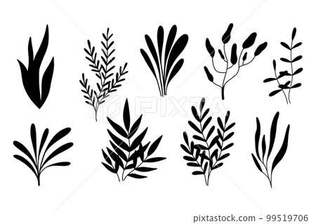 Algae silhouettes set. Vector illustration. Algae collection. Sea plants. 99519706
