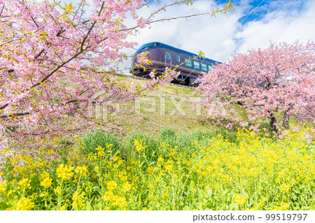 從河津站出發的特別列車“Nagomi” 99519797