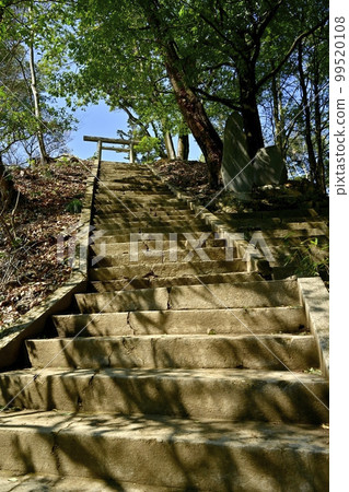 Stone steps leading to Mitake Shrine at the summit of Mt. Ryogaki, Ashikaga City Stone steps leading to Mitake Shrine at the summit of Mt. Ryogaki, Ashikaga City 99520108