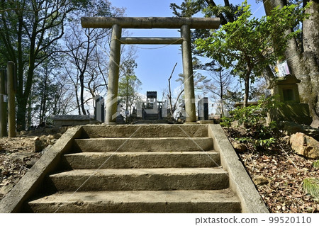 Stone steps to Mitake Shrine and torii at the summit of Mt. Ryogaki, Ashikaga City 99520110