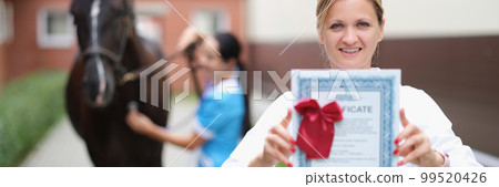 Veterinarian conducts medical examination of sports horse closeup Veterinarian conducts medical examination of sports horse closeup 99520426