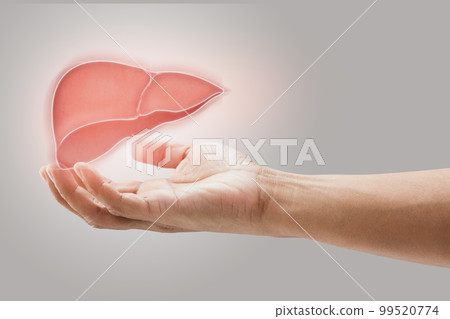 Man holding liver illustration 99520774