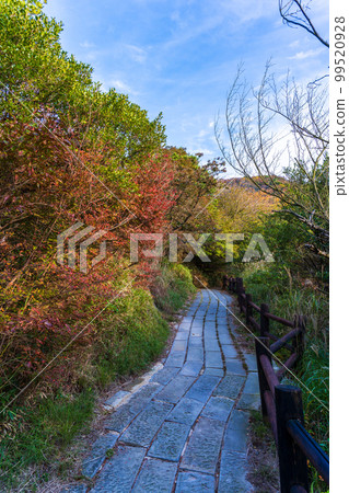 Unzen Jigoku Autumn Leaves Scenery "Unzen Hell Scenery, Unzen City, Nagasaki Prefecture" 99520928