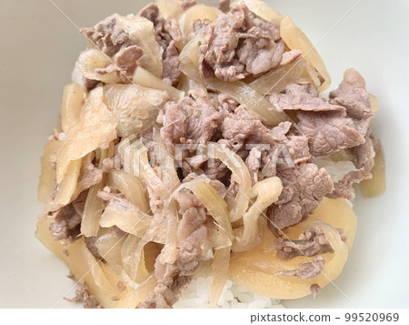 Beef bowl photo material Beef bowl photo material 99520969
