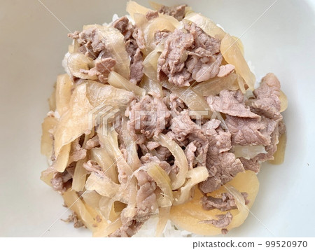 Beef bowl photo material Beef bowl photo material 99520970