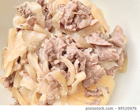 Beef bowl photo material Beef bowl photo material 99520976