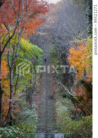 Stairs of Mt.Futagami Furusato Park Stairs of Mt.Futagami Furusato Park 99521271
