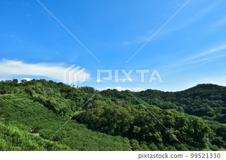 山景 山景 99521330
