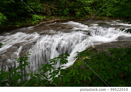 Clear stream and greenery in summer Clear stream and greenery in summer 99522019