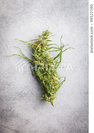 Dried cannabis buds. Dried marijuana on gray table. Top view. Dried cannabis buds. Dried marijuana on gray table. Top view. 99522160