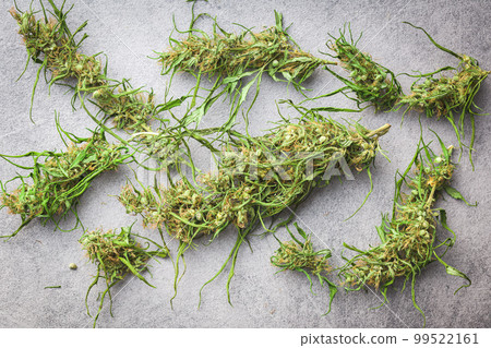 Dried cannabis buds. Dried marijuana on gray table. Top view. 99522161