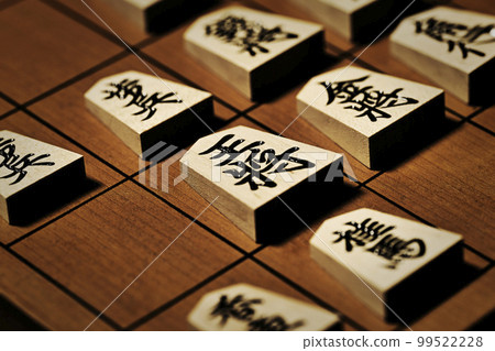 Shogiother_0075 Shogiother_0075 99522228