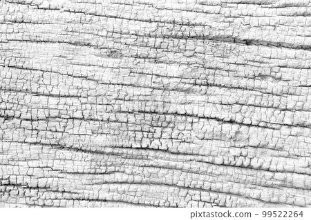 Gray white wood plank texture for background. Gray white wood plank texture for background. 99522264