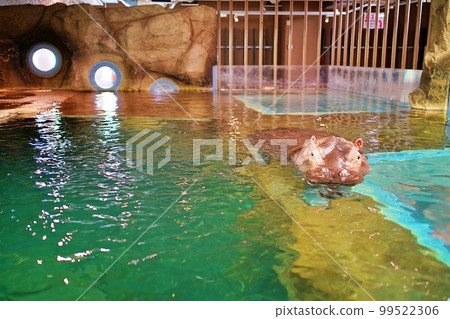 Asahiyama Zoo Kabakan (Asahikawa City, Hokkaido) Asahiyama Zoo Kabakan (Asahikawa City, Hokkaido) 99522306