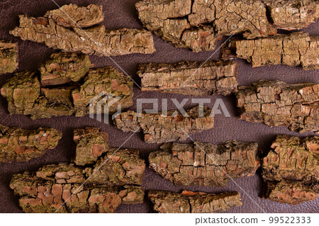 Tree bark natural background wallpaper backdrop. Brown natural pieces of wood bark on leather. 99522333