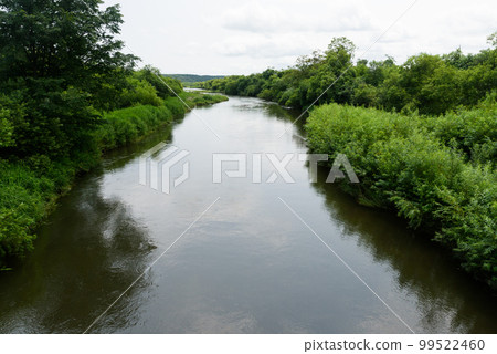 Scenery seen from Otowa Bridge in summer 99522460