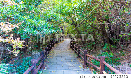 雲仙地獄風景“長崎縣雲仙市雲仙地獄風景” 雲仙地獄風景“長崎縣雲仙市雲仙地獄風景” 99523210