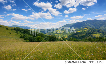a picturesque mountainous countryside scene featuring a serene meadow and lush green pastures. the vast grassy fields stretch out under the bright summer sky, creating a stunning landscape 99523456