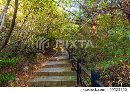 雲仙地獄秋葉風情``長崎縣雲仙市的雲仙地獄風景'' 99523560