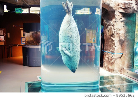 Asahiyama Zoo Seal Museum (Asahikawa City, Hokkaido) 99523662